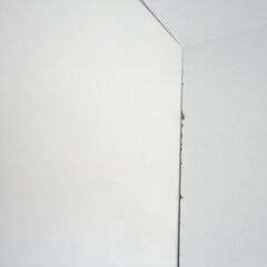 ① キューブボックス 幅35cm 奥行29.5cm 高さ35cm カラーボックス 扉付き 1段 ホワイト 収納ボックス 棚 札幌 西岡店の画像