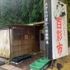 大東百彩市　メダカ　ミジンコ　ゾウリムシ販売始めました。