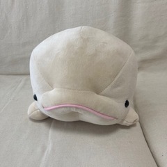 
【美品】八景島シーパラダイス シロイルカ ぬいぐるみ