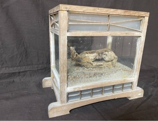 M10102【旧家蔵出】 鈴虫 虫かご 37cm×22cm×32cm ガラス入りケース 虫籠