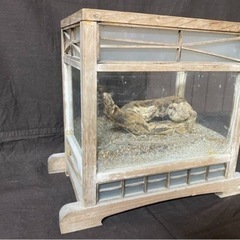 M10102【旧家蔵出】 鈴虫 虫かご 37cm×22cm×32...