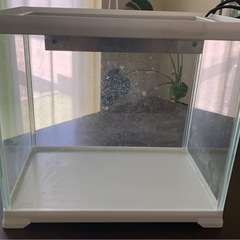 オカヤドカリ飼育ケース☆ヒーター付き