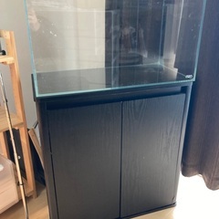 【引き取り限定】アクアリウム 60cm水槽セット