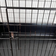 【7点セット】小動物飼育セット　フェレット　チンチラ　デグーの画像