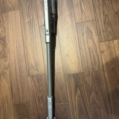 家電 生活家電 掃除機