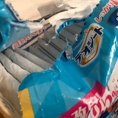 犬用 写メセット、トイレトレー、トイレマット、オムツなどの画像