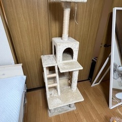 キャットタワー