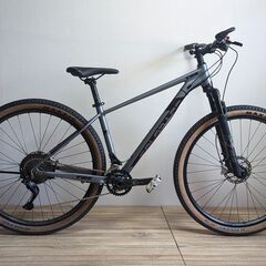 MTB TRS COLORADO 29インチ 2×11Sの画像