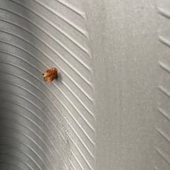  中古タイヤ4本 265/40/22
の画像