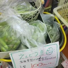 えんどう豆　エンドウ豆　家庭菜園　１００円♪　