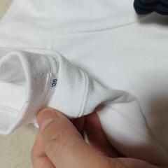 体操着　体操服　ハーフパンツ　ショートパンツ　半袖の画像