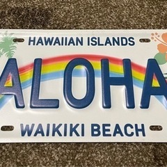 ハワイ🌺Hawaiiプレート