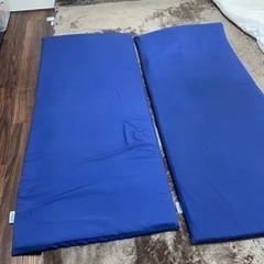 ミニトゥルースリーパー　ごろ寝