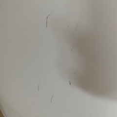 猫トイレドーム型の画像