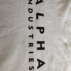 【状態良好】アルファインダストリーUSAロゴ入りTシャツLサイズの画像