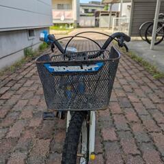 自転車 マウンテンバイクの画像