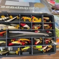 バス釣り&シーバスセットの画像