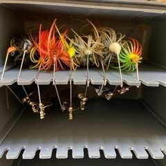 バス釣り&シーバスセットの画像