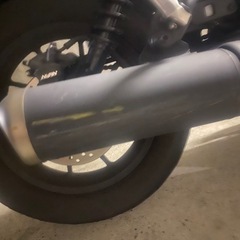 レブル250   (再投稿)の画像