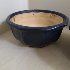 （Ｍ）3個　植木鉢　の画像