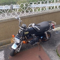 SUZUKI EPO 原付き　ジャンク