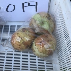 新玉ねぎ（4個入）の画像