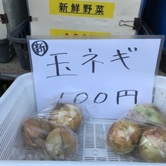 新玉ねぎ（4個入）の画像
