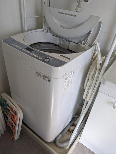 家電 生活家電 洗濯機