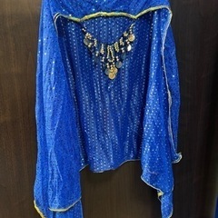 ❶【中古品】ベリーダンス衣装（3点セット）の画像