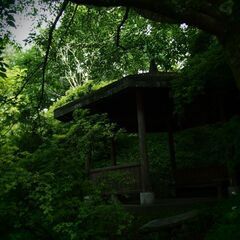 カメラ仲間募集