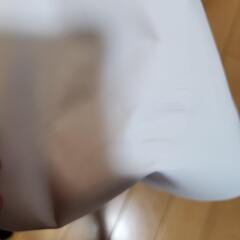 ノースフェイス　白リュックの画像