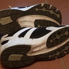 スニーカーSPALDING 27cmの画像