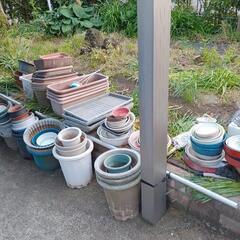 植木鉢各種の画像