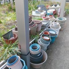 植木鉢各種の画像