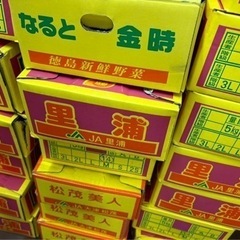 鳴門金時さつまいも