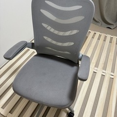 家具 椅子 座椅子