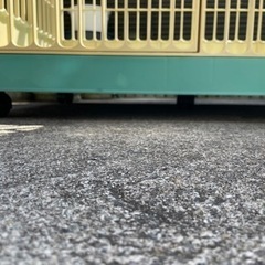 犬用ケージ　檻の画像