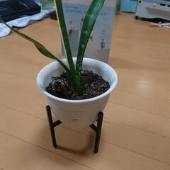 鉄製棚 花台（30個）の画像