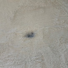 洗えるファーラグホワイト2枚セット　の画像