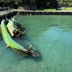 廃墟仲間