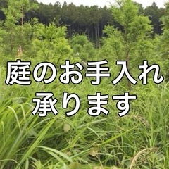 庭の草木のメンテナンスから定期除草まで❗️