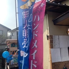 5月19日から　めだかの蓮音無人販売所　めだか販売　メダカ販売の画像