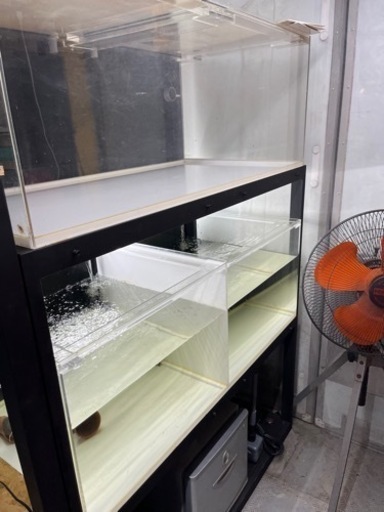 多段水槽　大型水槽　アクアリウム