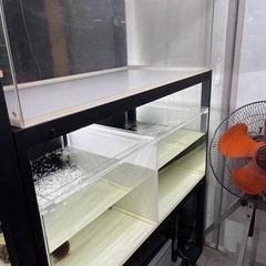 多段水槽　大型水槽　アクアリウム