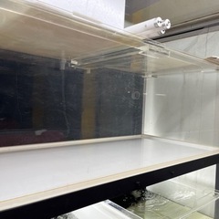 多段水槽　大型水槽　アクアリウムの画像