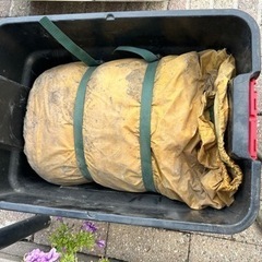 引き取り手きまりました。テント？