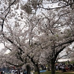 松山市内付近で友達募集