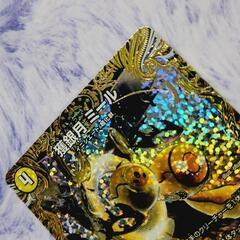 デュエマ/デュエルマスターズ 獲銀月 ミール シクレ レア ラ・ウラ・ギガ付きの画像