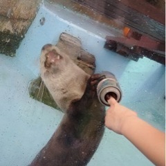 野球とかキャッチボール