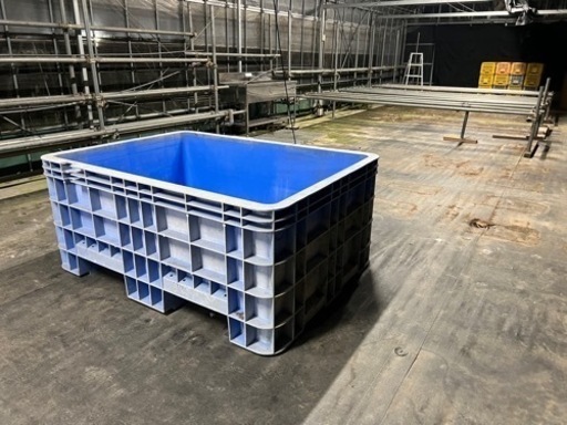 大型タライ　メダカ